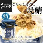 岩手県から直送 天然・無添加 ごろっとほぐし 焼鯖（国産） 110g×6本セット 送料無料 サバ さば サバほぐし 鯖フレーク ご飯のお供 ごはんのお供