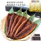  Кагосима префектура . ткань . производство гора рисовое поле вода производство . семья предназначенный Kirishima . вода ...B товар итого 700g(5 хвост из 7 хвост ..) бесплатная доставка угорь . Kato более того . san si- капот 