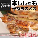 Yahoo! Yahoo!ショッピング(ヤフー ショッピング)北海道より直送 北海道産 本ししゃも 子持ちのメス 30尾入化粧箱 送料無料 柳葉魚 本シシャモ ※クール冷凍便