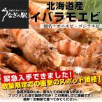  Hokkaido .. прямая поставка Hokkaido производство . sashimi для [i роза mo креветка ] другой название :oni креветка * Godzilla креветка 200g×2 пакет ( всего 14 хвост передний и задний (до и после) ) бесплатная доставка .. море .