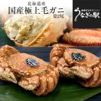  Hokkaido .. прямая поставка Hokkaido производство [... четырёхугольный волосатый краб ] большой 570g передний и задний (до и после) ×2 хвост входить бесплатная доставка краб краб четырёхугольный волосатый краб шерсть .. шерсть . подарок 