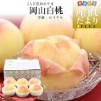  Okayama префектура JA все сельское хозяйство .... Okayama белый персик и т.п. класс : Royal примерно 1.8 kilo (6 шар ) бесплатная доставка .. Momo. ...pi-chi