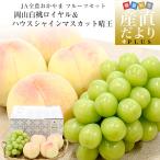  Okayama префектура JA все сельское хозяйство .... фрукты комплект Okayama белый персик Royal 4 шар ( всего примерно 1.2 kilo ) & высококлассный house культивирование автомобиль in мускат .. синий превосходящий товар 1.( примерно 600g) бесплатная доставка 