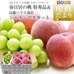  Yamanashi префектура JA фрукты Yamanashi фрукты комплект весна день .. персик Special превосходящий товар 4 шар ( примерно 1.2 kilo ) & высококлассный house автомобиль in мускат превосходящий товар 1.450g и больше бесплатная доставка подарок на Bon Festival лето подарок 