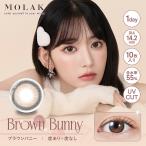 �J���R�� �����f�[ 10������ 1�� �����N�����f�[ �y�u���E���o�j�[�z MOLAK �i�`������ ���R �ʊw �ʋ� ����� ���R�� �t�`���� ���t�` �~���N�`���R�J���[ ����