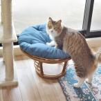 ペット スツール 椅子 室内 クッション ベッド キャットネコ 猫 犬 寝床 おしゃれ かわいい ラタン 座れる 椅子 チェア 北欧 モダン シンプル 腰掛け  新生活