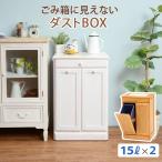 ゴミ箱 分別型 ダストボックス 完成品 2分別 袋が見えない 天板 タイル おしゃれ キャスター付 15L 2個 キッチンワゴン キッチン収納 カントリー 新生活