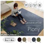 洗える ラグ 200×250cm 3畳 無地 抗菌 防臭 滑り止め ホットカーペット カバー 軽量 フランネル こたつ 敷き 布団 オールシーズン 夏 春 秋 冬 新生活