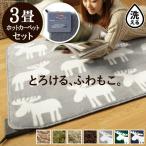 ホットカーペット カバー 洗える ラグマット〔モリス〕 3畳（240x200cm）+ホットカーペット本体セット 新生活
