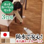 ホットカーペット カバー 木目調ホットカーペット・カバー 〔ウッディ〕 3畳用(250x198) +ホットカーペット本体 2点セット 防水 新生活