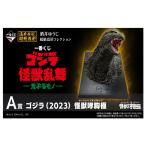 一番くじ ゴジラ 怪獣乱舞 -荒ぶるモノ- 1ロット+Wチャンス券