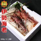 . Исэ город море .500g минут ( средний 1~2 хвост ) подарок комплект Tokushima префектура производство День почитания пожилых людей натуральный лангуст 