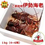 .. Tama . доставка есть перевод Исэ город море .1kg минут (4~6 хвост размер случайный ) Tokushima префектура производство прямая поставка от производителя 