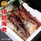 活伊勢海老 1kg分（2〜5尾） ギフトセット 徳島県産 敬老の日天然伊勢エビ お祝い
