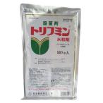 殺菌剤 トリフミン水和剤 500g
