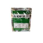 除草剤 ハイバーX水和剤 100g