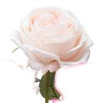 [ искусственный цветок a-tifi автомобиль ru цветок ] rose свет розовый a-31829-013 [asca Aska ]