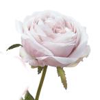 [ искусственный цветок a-tifi автомобиль ru цветок ] rose свет mauve a-31829-055b [asca Aska ]
