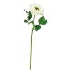  искусственный цветок a-tifi автомобиль ru цветок ветреница корончатая белый зеленый a-33018-052 [asca Aska ]
