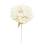  искусственный цветок a-tifi автомобиль ru цветок pio колено pick крем розовый a-33065-003c [asca Aska ]