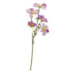  искусственный цветок a-tifi автомобиль ru цветок nouzenkazla×5f автомобиль a-34112-026 [asca Aska ]