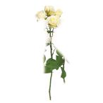  искусственный цветок a-tifi автомобиль ru цветок rose ×3...×2 soft желтый a-34617-020 [asca Aska ]