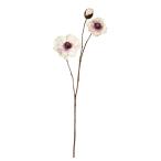  искусственный цветок a-tifi автомобиль ru цветок мак X2...X1 крем лиловый a-34657-007p [asca Aska ]