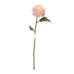  искусственный цветок a-tifi автомобиль ru цветок георгина pi-chia-34697-004 [asca Aska ]