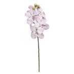  искусственный цветок a-tifi автомобиль ru цветок van dao- Kid X8...X4 lilac a-34701-017 [asca Aska ]