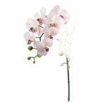  искусственный цветок a-tifi автомобиль ru цветок kochou Ran ×8...×4 белый лиловый a-34707-017p [asca Aska ]