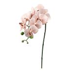  искусственный цветок a-tifi автомобиль ru цветок kochou Ran ×8...×4 mauve белый a-34707-055w [asca Aska ]