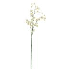  искусственный цветок a-tifi автомобиль ru цветок campag nyula×43...×5 soft желтый a-34757-020 [asca Aska ]