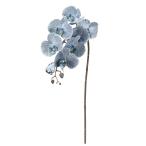  искусственный цветок a-tifi автомобиль ru цветок kochou Ran ×7...×5 серый голубой a-34795-064b [asca Aska ]