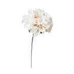  искусственный цветок a-tifi автомобиль ru цветок георгина pick слоновая кость белый a-34808-091w [asca Aska ]