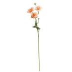  искусственный цветок a-tifi автомобиль ru цветок la наан kyulas×3...×1pi-chia-34814-004 [asca Aska ]