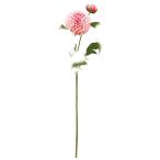  искусственный цветок a-tifi автомобиль ru цветок георгина ×1...×1 light rose a-34830-005b [asca Aska ]