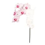  искусственный цветок a-tifi автомобиль ru цветок kochou Ran ×5 белый розовый a-34837-001p [asca Aska ]