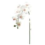  искусственный цветок a-tifi автомобиль ru цветок kochou Ran ×7...×2 белый розовый a-34880-001p [asca Aska ]