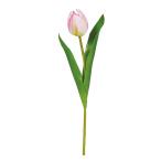  искусственный цветок a-tifi автомобиль ru цветок тюльпан розовый a-35083-003 [asca Aska ]