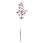  искусственный цветок a-tifi автомобиль ru цветок o- Kid X13o- Kid a-35325-045 [asca Aska ]