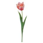  искусственный цветок a-tifi автомобиль ru цветок semi открытый тюльпан коралл a-35383-013a [asca Aska ]