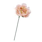 造花 アーティフィシャルフラワー　ピオニーピック ライトピンクグリーン  a-35478-013g  【ascaアスカ】