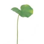 ゲイラックス（Ｓ） グリ−ン  a-41228-051a  【ascaアスカ】