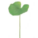 ゲイラックス（Ｌ） グリ−ン  a-41229-051a  【ascaアスカ】