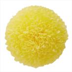 ポンポン菊・ミディ　モーニングイエロー  do002646-501  マム　菊【東京堂】