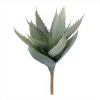 アロエスピラ＃１５ＧＲＹ．ＧＲfg...