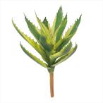 アロエスピラ＃２２ＹＥ／ＧＲfg0...