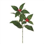 [ цветок (a-tifi автомобиль ru) тысяч обе ] тысяч обе спрей RED fj002308-zzz 0[ Tokyo .]