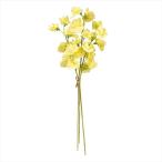 ジュディスイトピーバンドル＃１０４...