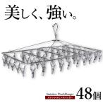 ステンレスピンチハンガー 物干し ピンチ48個 角ハンガー 洗濯ハンガー 洗濯バサミ 洗濯ばさみ 48ピンチ ekans エカンズ PH-48